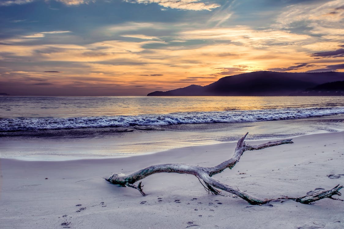 Elephanta Beach in Havelock