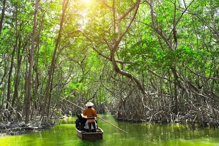 Mangrooves Creek in Baratang